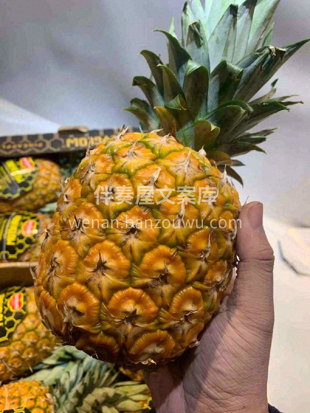 ❌不需要盐水泡和挖孔，切开去皮就能吃😋  配图1