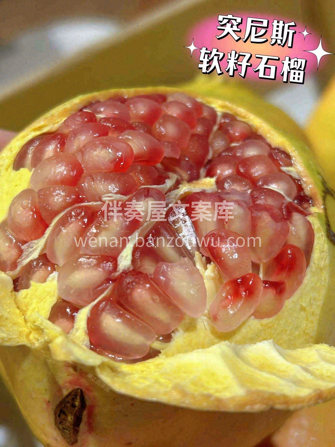 约吧🏍️，你的“雅诗兰黛”无须吐籽💋！  配图3