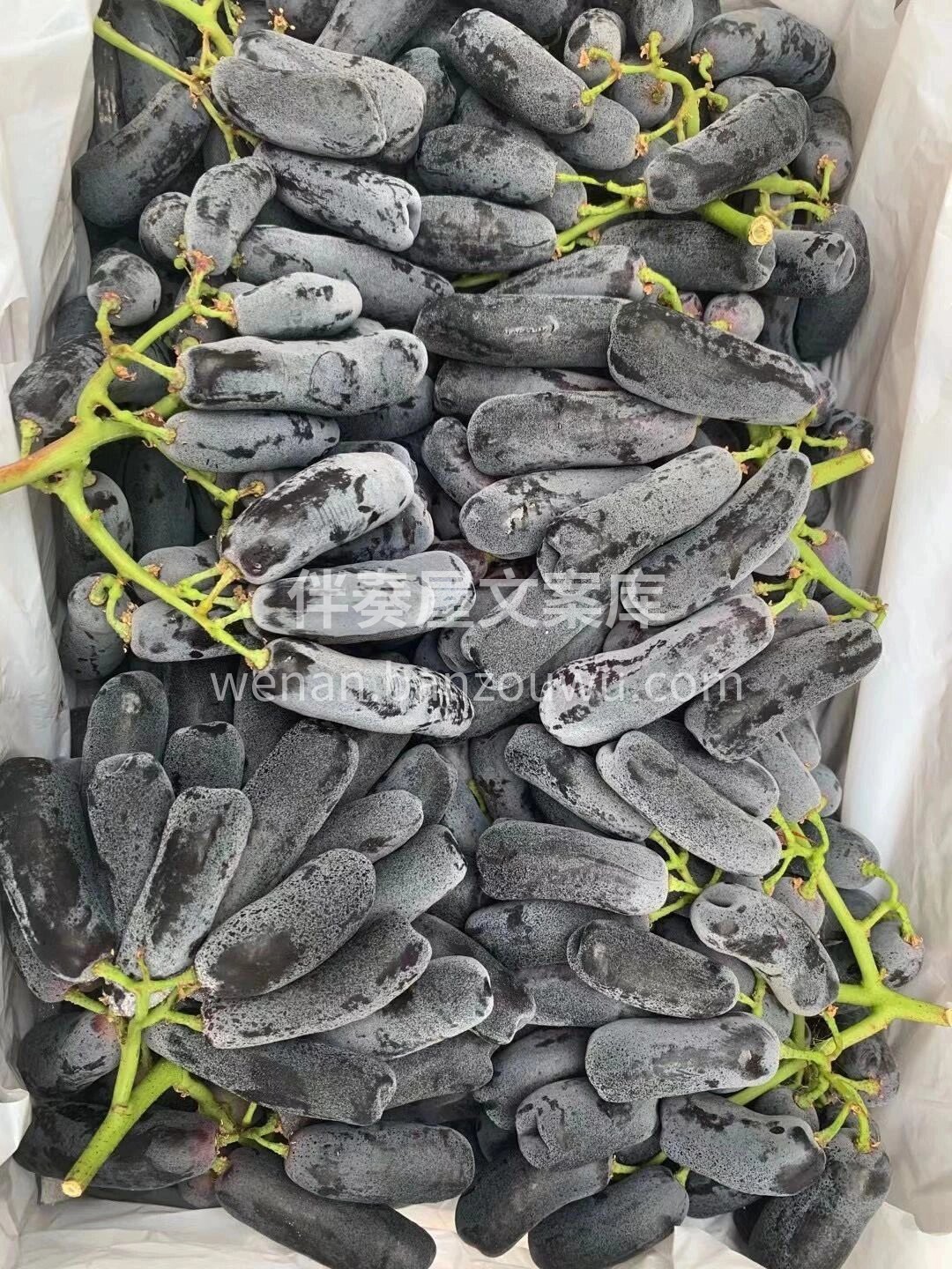 今天金手指黑提的品质不要太优秀哦😍 生活 配图1