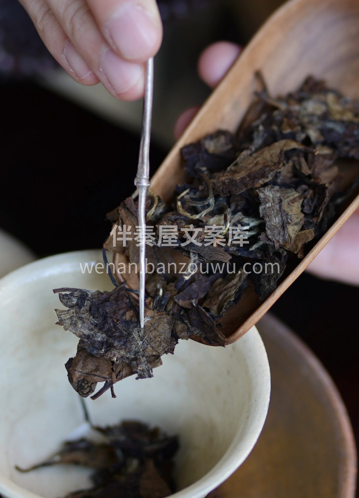 春饮茶，夏乘凉，秋赏月，冬藏香。一杯福鼎 配图1