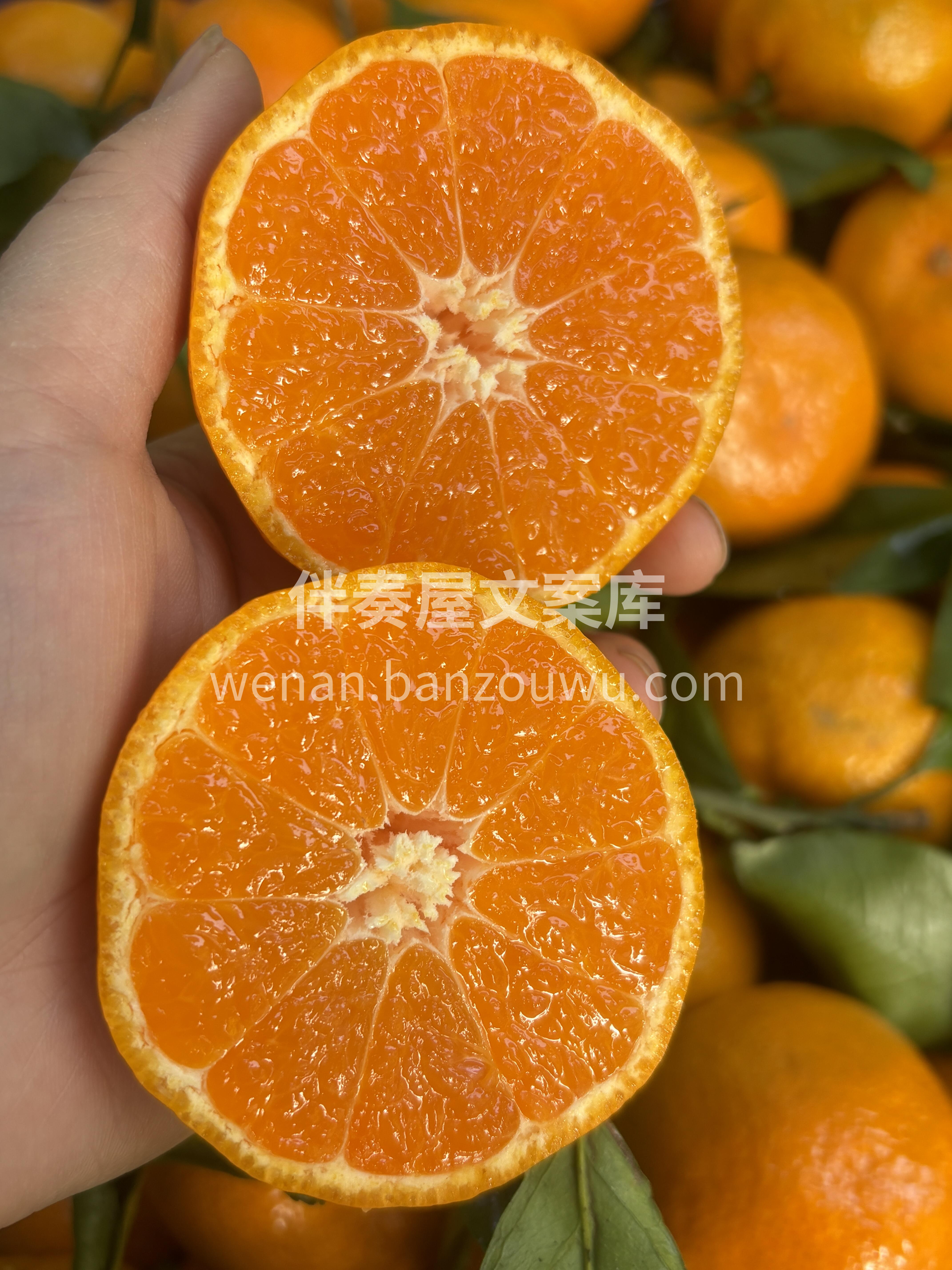 🌿季节限定👉云南蜜橘🍊 瓣瓣水嫩🤤，放入 配图1