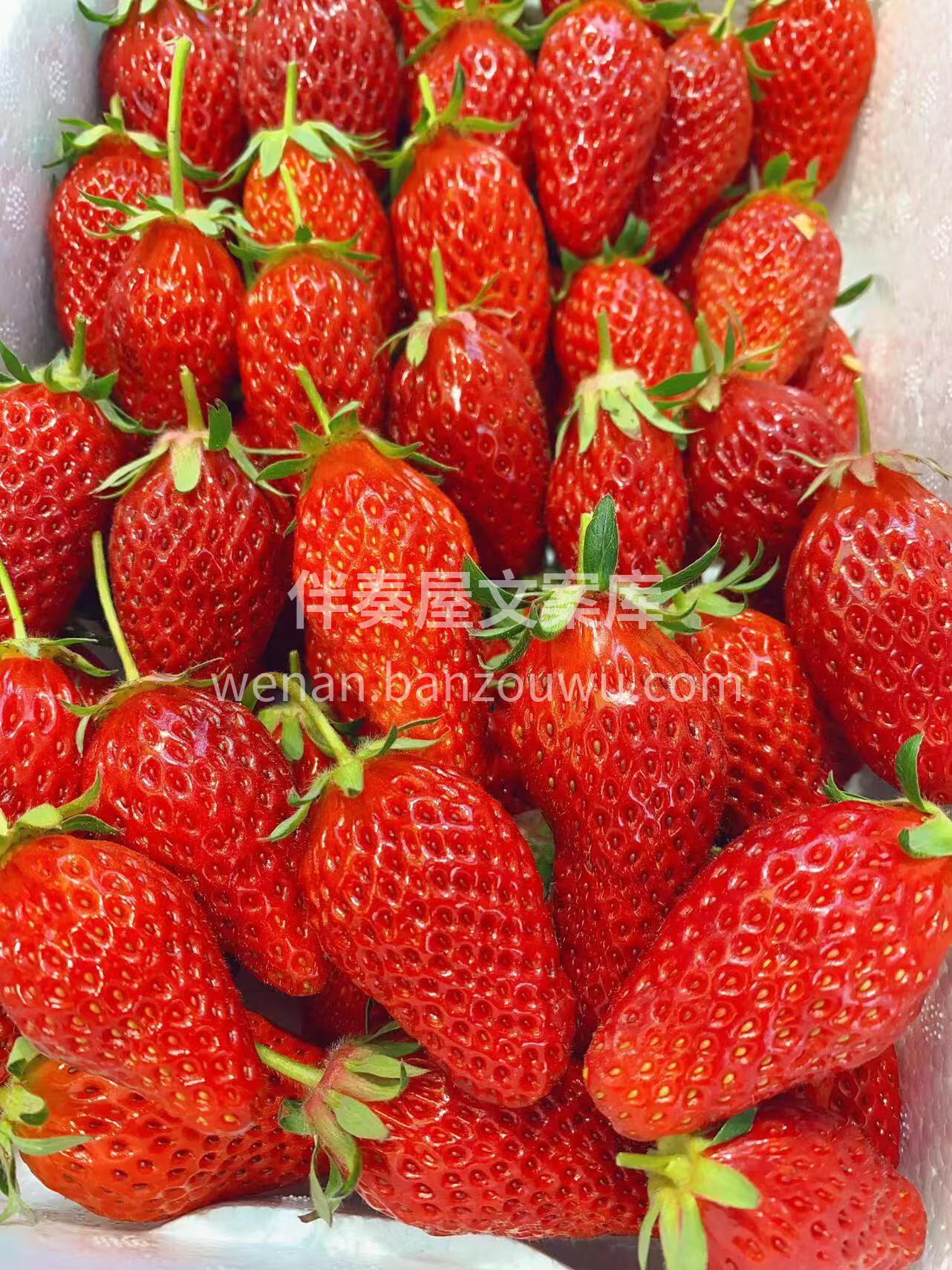 生活太累？来一口水果放松🍇🍊 清爽爆汁，甜而不腻💦 富含维C 配图6