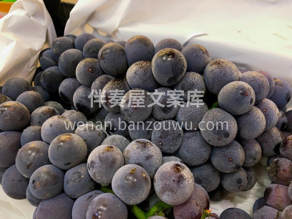 新鲜巨峰葡萄🍇颗粒圆润饱满，满满一层果粉 配图1