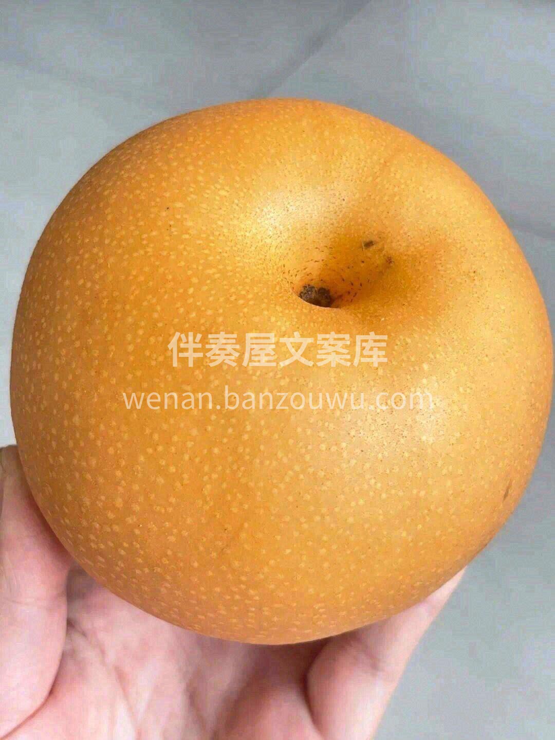 夏有凉风🍂，冬有雪❄ 春有百花🌼，秋有梨 配图1
