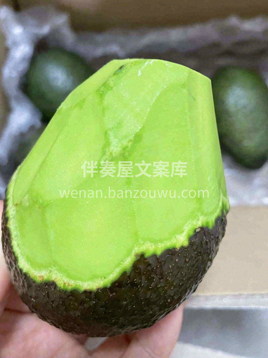 🎖吉尼斯纪录最具营养的水果❗ 号称森林奶 配图1