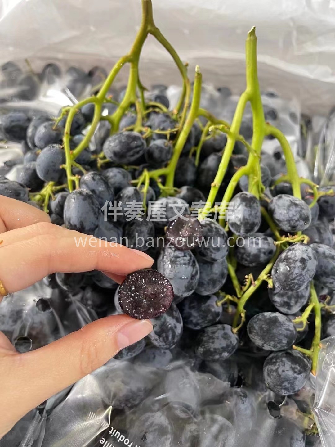 啊啊啊绝不绝 自己看！ 进口💥黑加仑🍇试 配图3