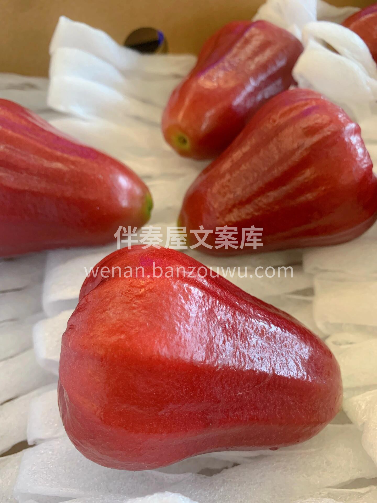 🌸 莲雾！🌸 粉红透亮像小铃铛🔔颜值在线 配图2
