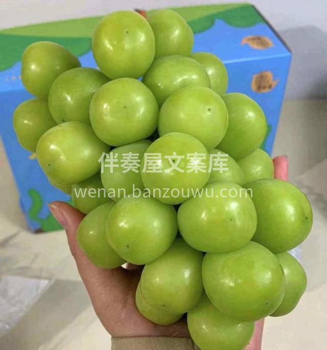 🎊追求大颗和整串甜度的宝子，推荐这款晴王 配图3