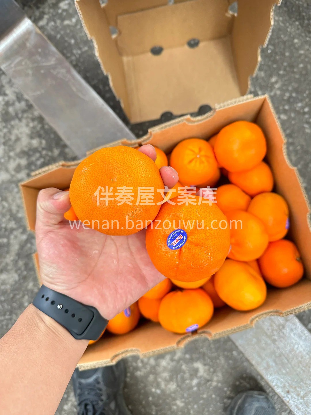 『澳洲2ph澳柑』水果芬达🍊🍊特别冷藏后 配图3