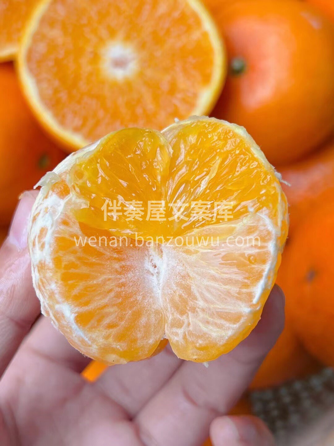 🍭纯甜爆汁的沃柑🍊剥上一个 皮薄肉多👏抿 配图3