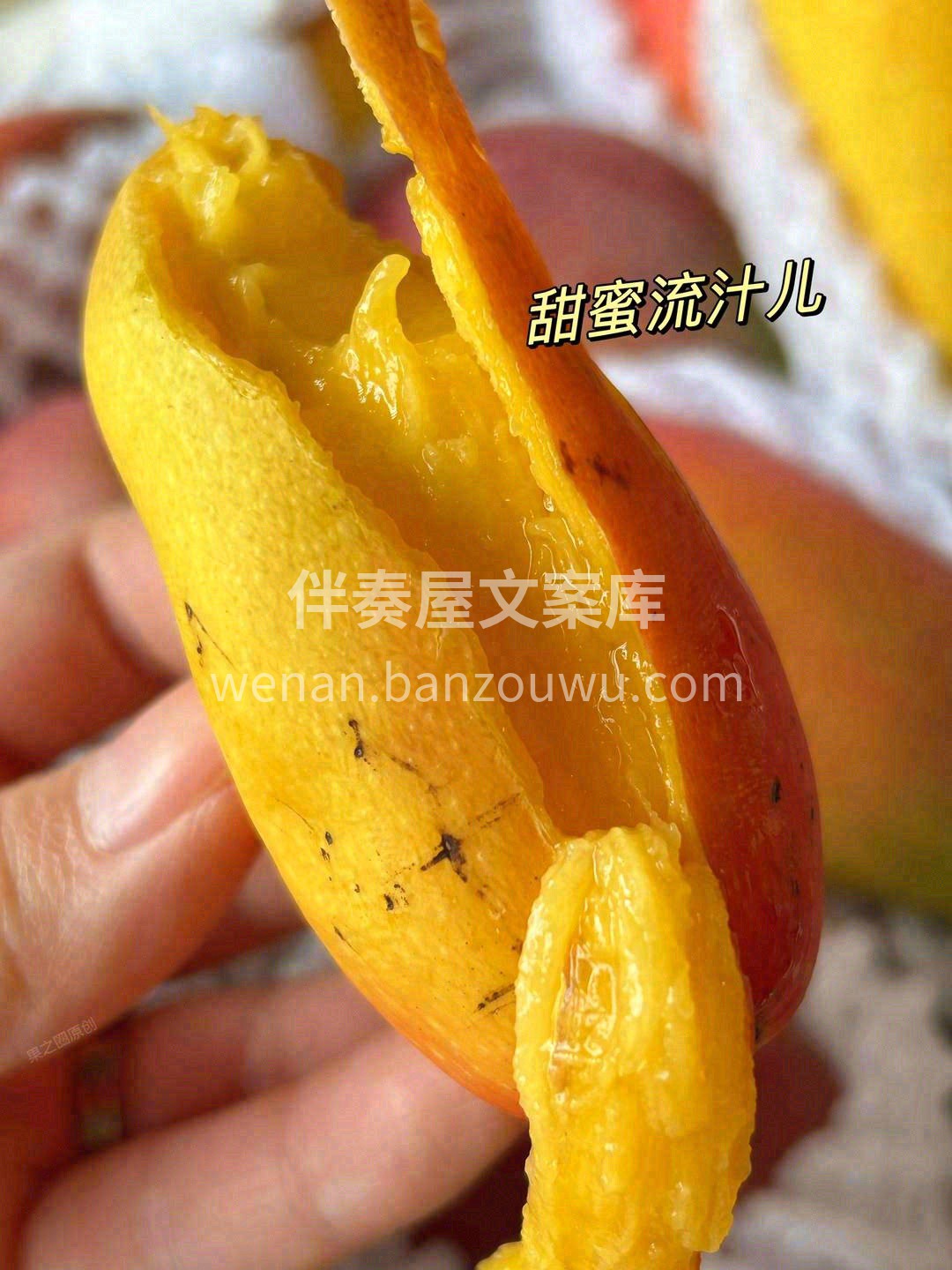 🥭长得乖巧！颜值拉满🎉 青红相接、黄绿交 配图1