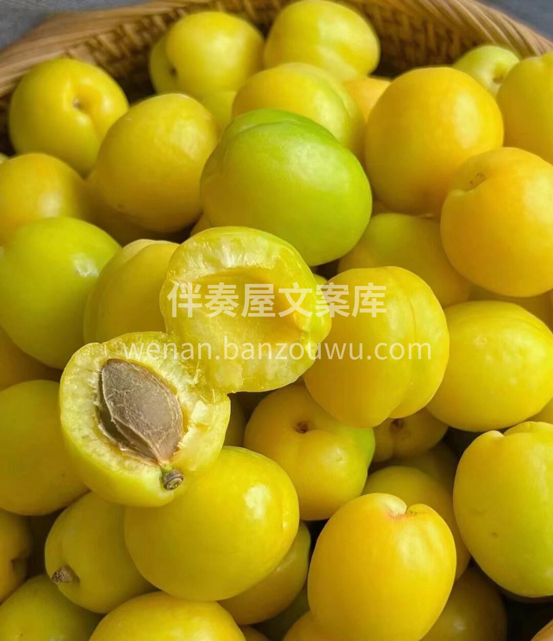 夏天的风🌬️吹到了新疆💋新疆·小白杏‼️ 配图1