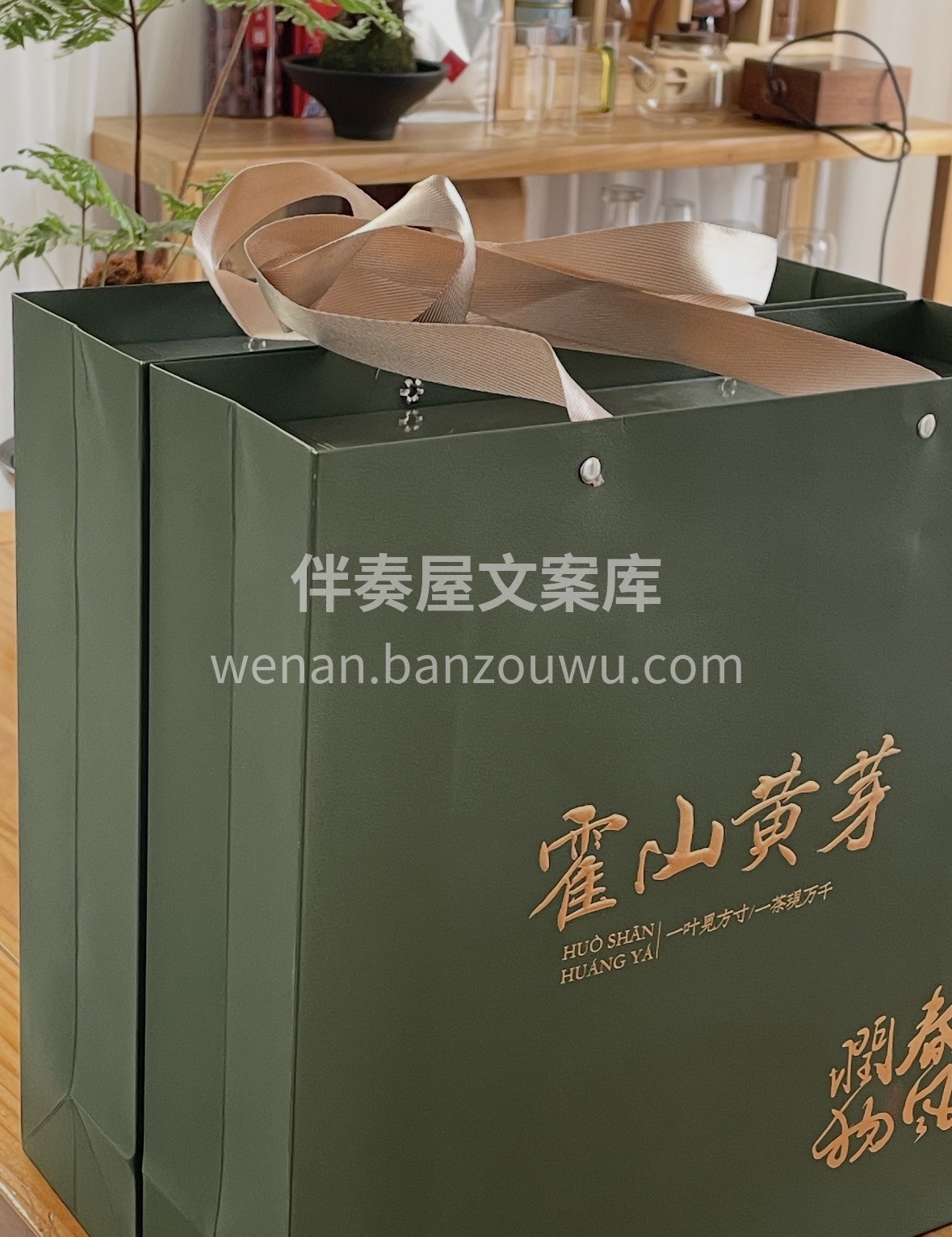 🍵霍山黄芽｜春季好茶上新 ✅高山原生态种 配图1