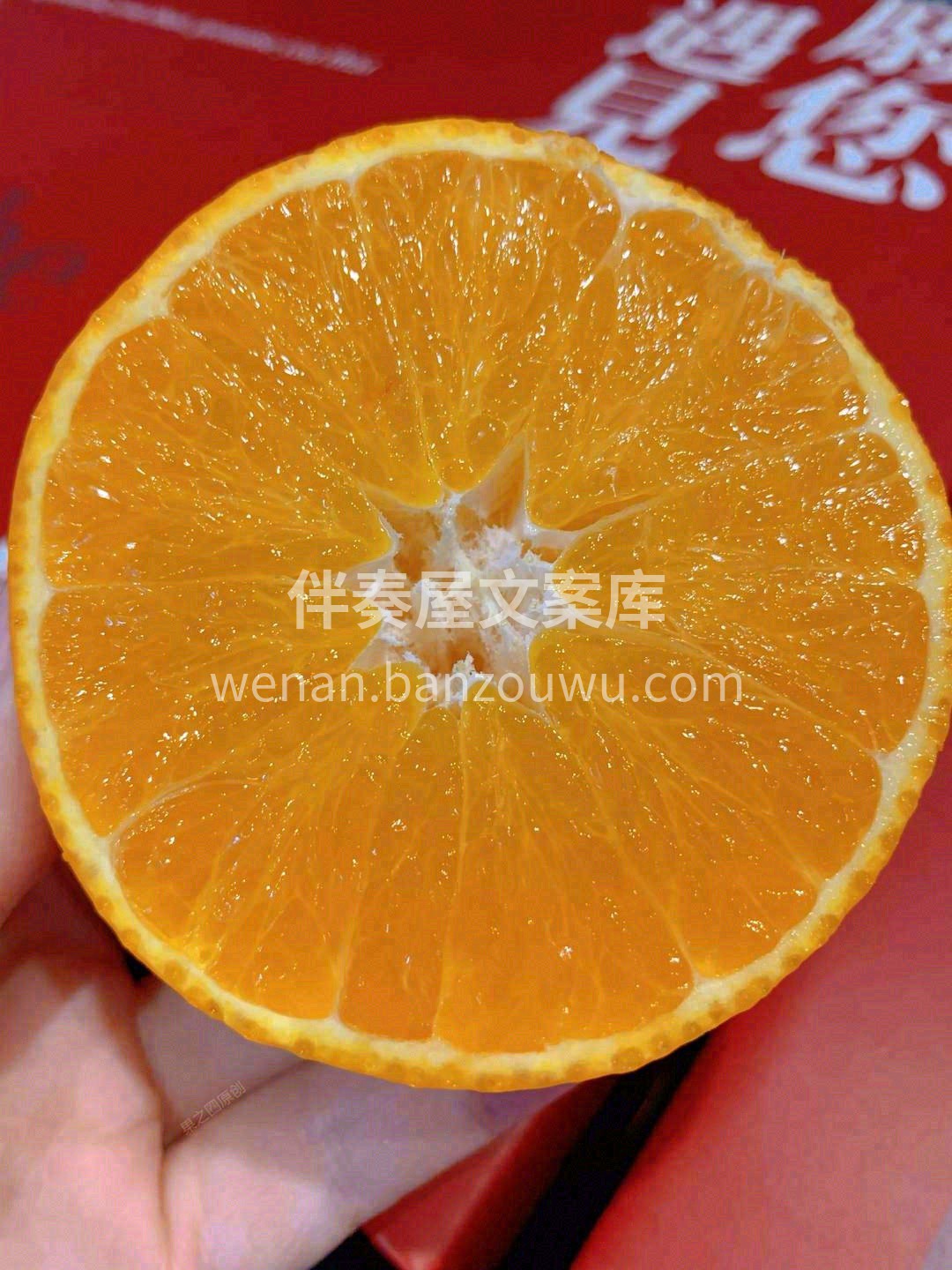 🍊外观像橘子，长得扁平，果皮超级薄👍 又 配图2