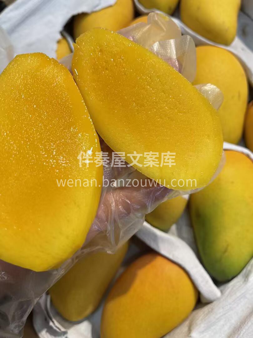 这个季节的芒果🥭 好吃的真就是小台芒嘎嘎 配图1