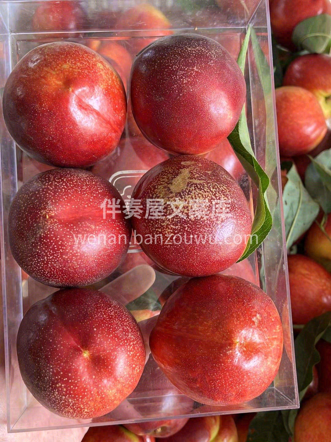 三生三世💍，时间太长🎗️ 十里桃花🌸，路 配图3