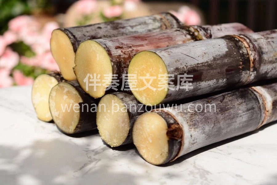 🎋漓江黑皮甘蔗到货 黄橙橙的肉质！🔥 这 配图3