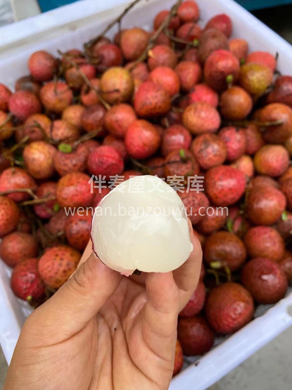 当季热卖🔥黑叶荔枝🍓肉质脆嫩，饱满多汁👍 配图1