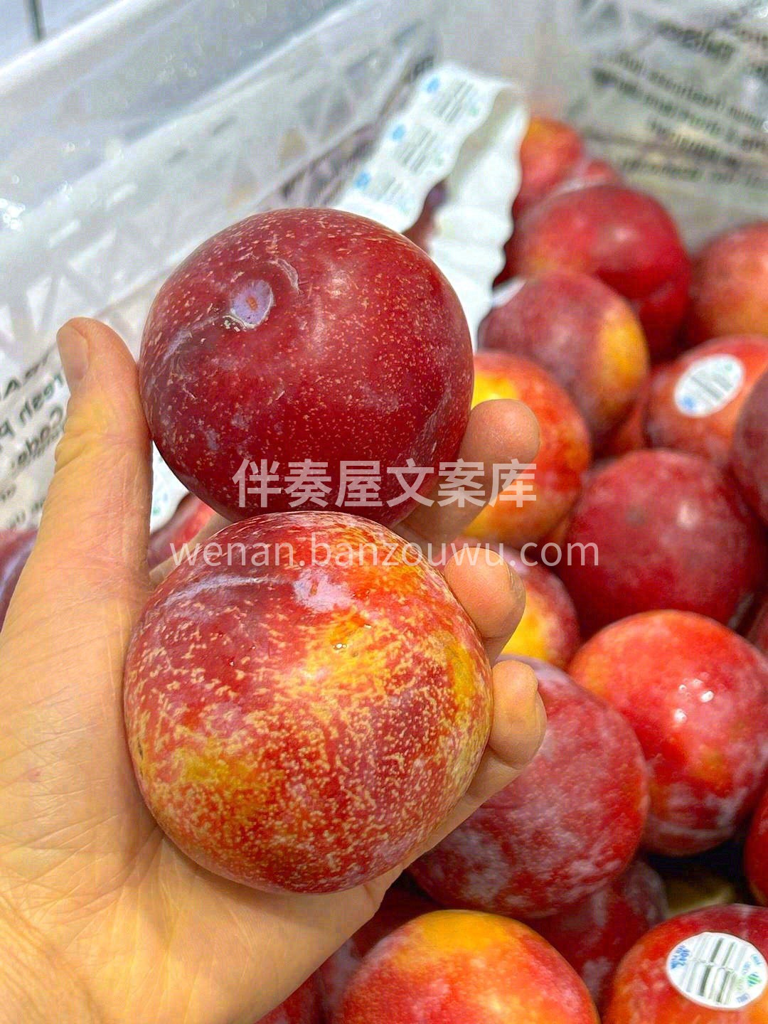 最接近太阳的李子❤️ 咬开便清甜爽口，心 配图2