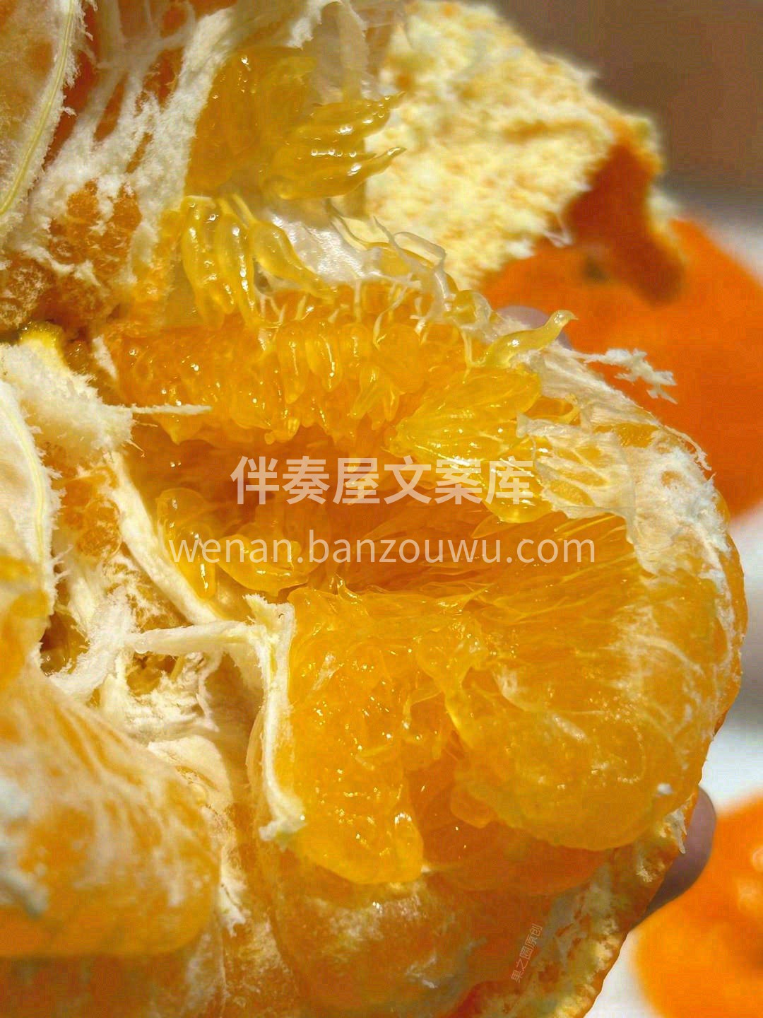 一果多尝，实在难得👍 香、甜、嫩、爽，四 配图3