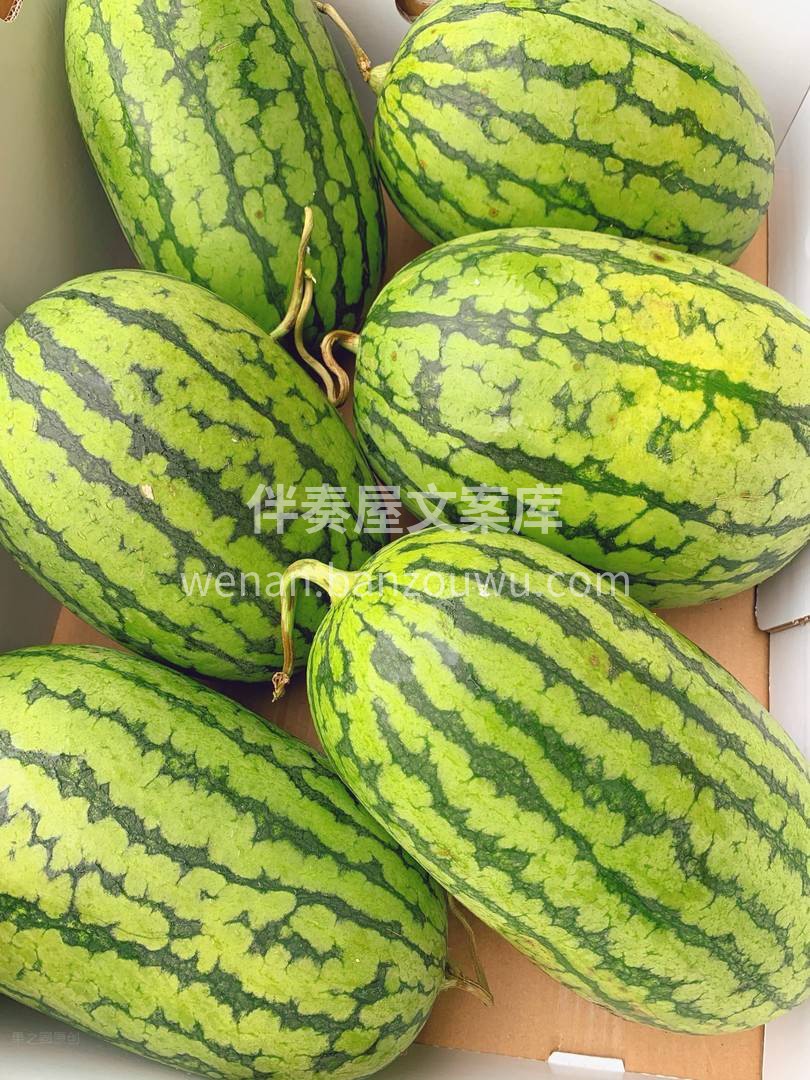 🔆夏天你缺一只小2K西瓜🍉 真是好吃到想 配图1