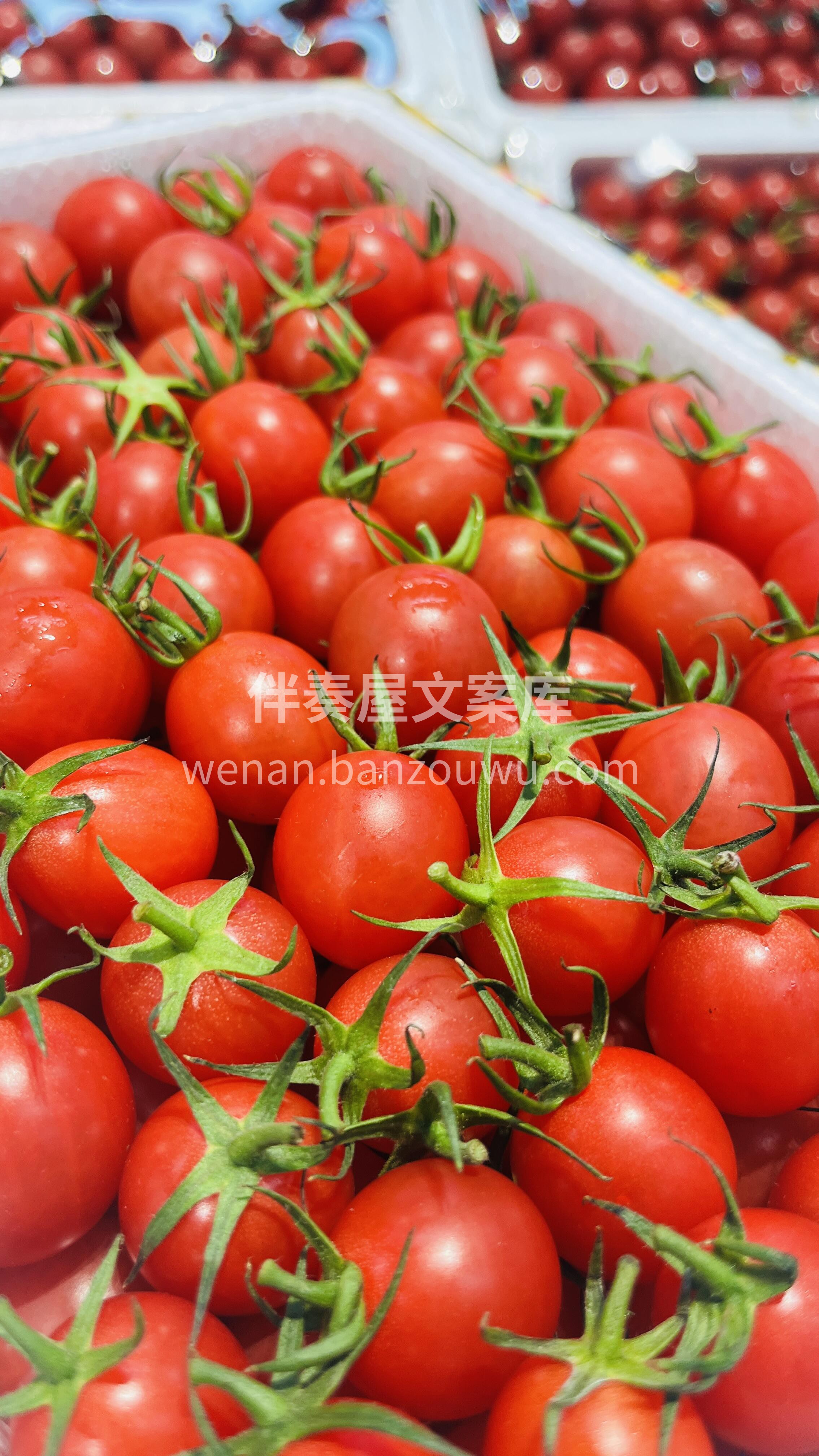 😋一口爆浆，甜到上瘾”的千禧果🍅 “Ta 配图3