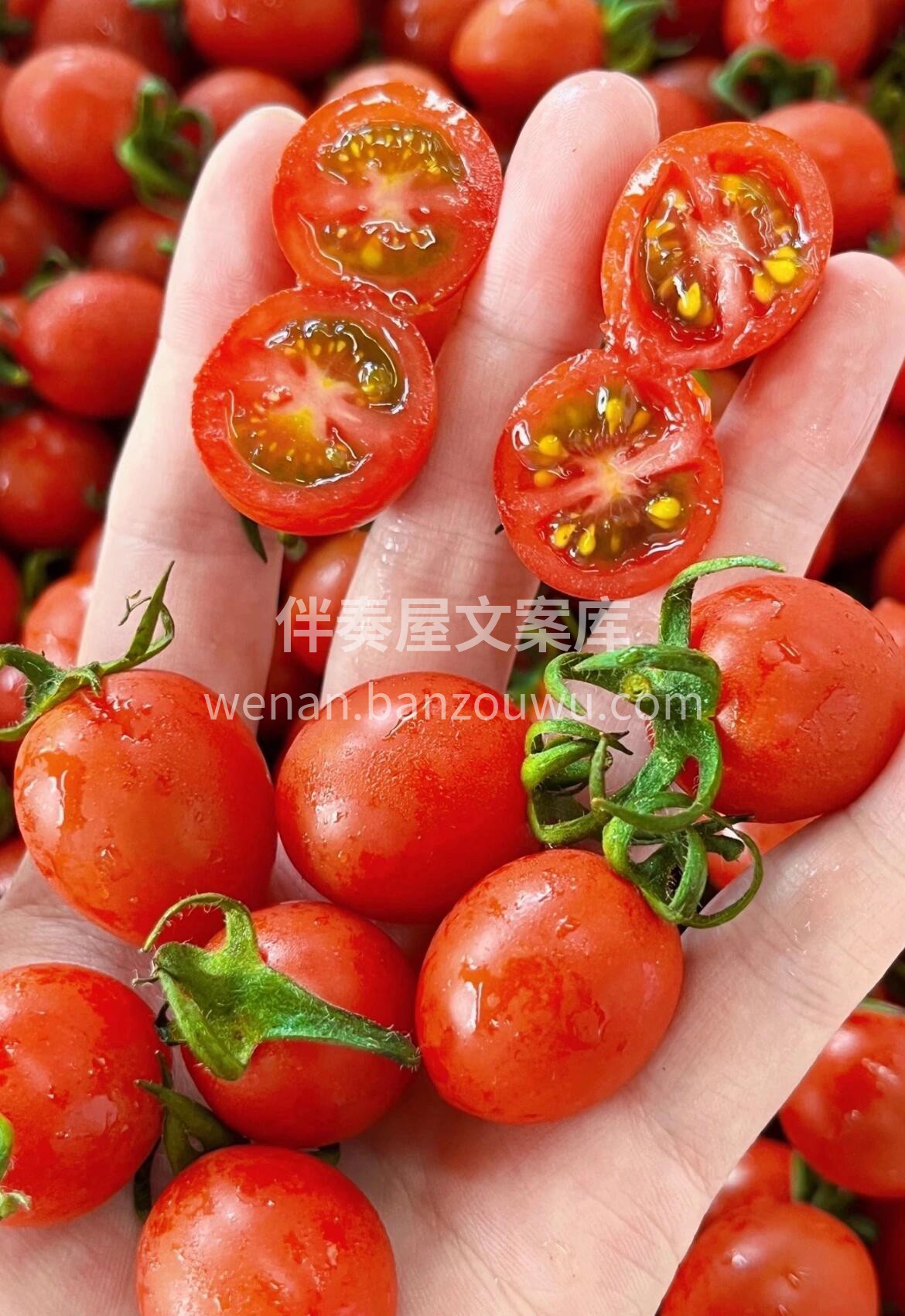 🌞【早安水果时间】 清晨的第一口甜蜜，从 配图3