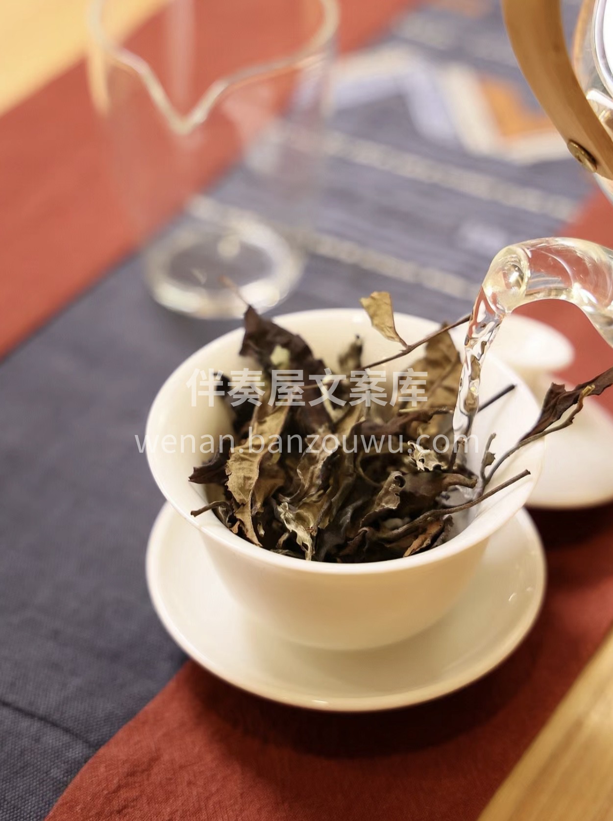 🌟 茶如人生，苦尽甘来。品味茶的韵味，领 配图1