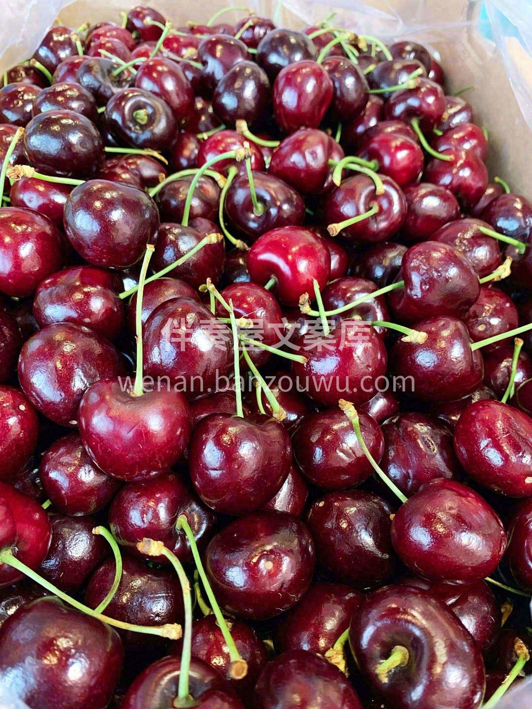🍒夏天里一抹最美味的红，多少钱都值得拥有 配图2