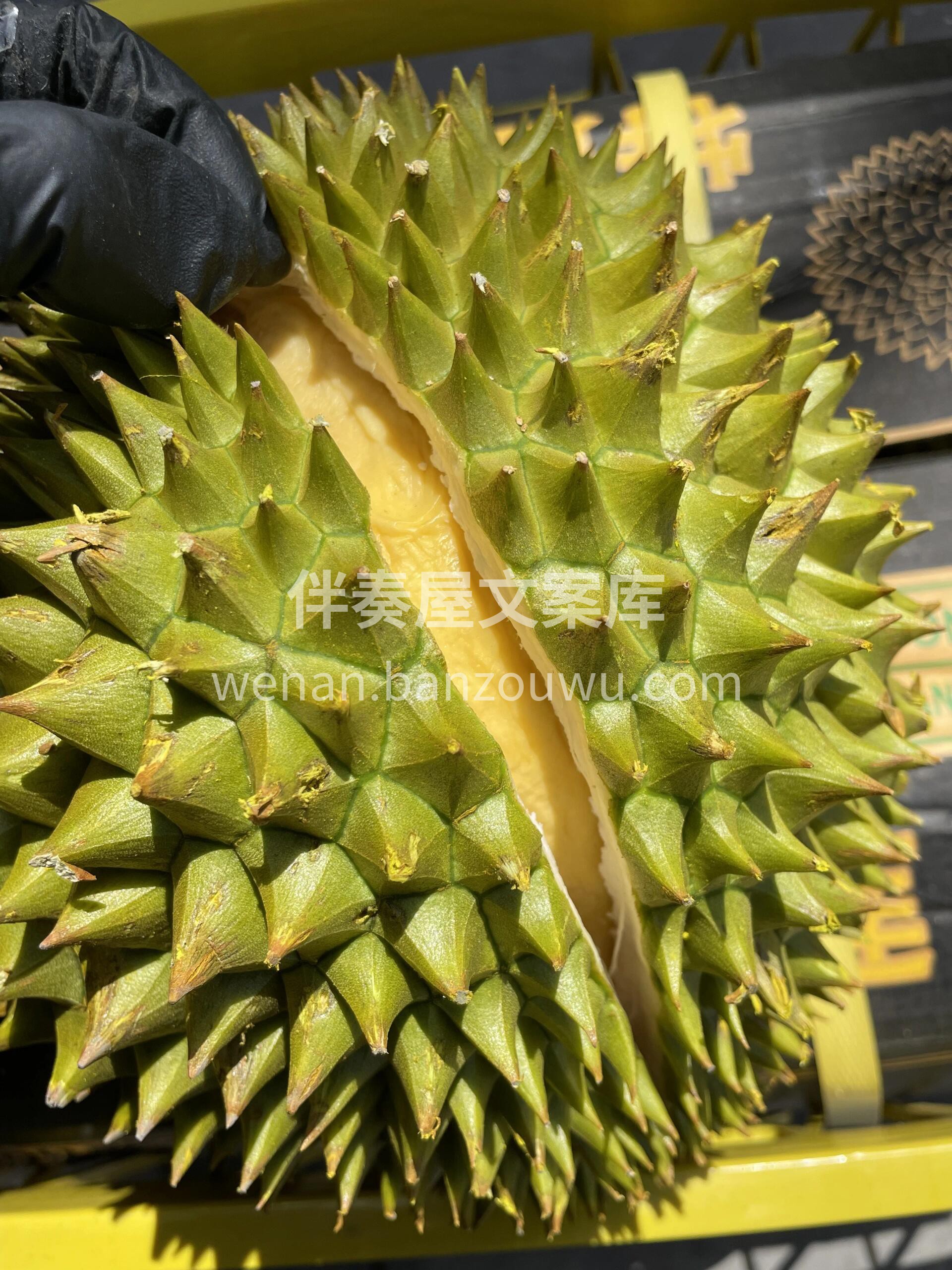今天的干尧榴莲任君选择，包熟包甜😊 个头 配图1