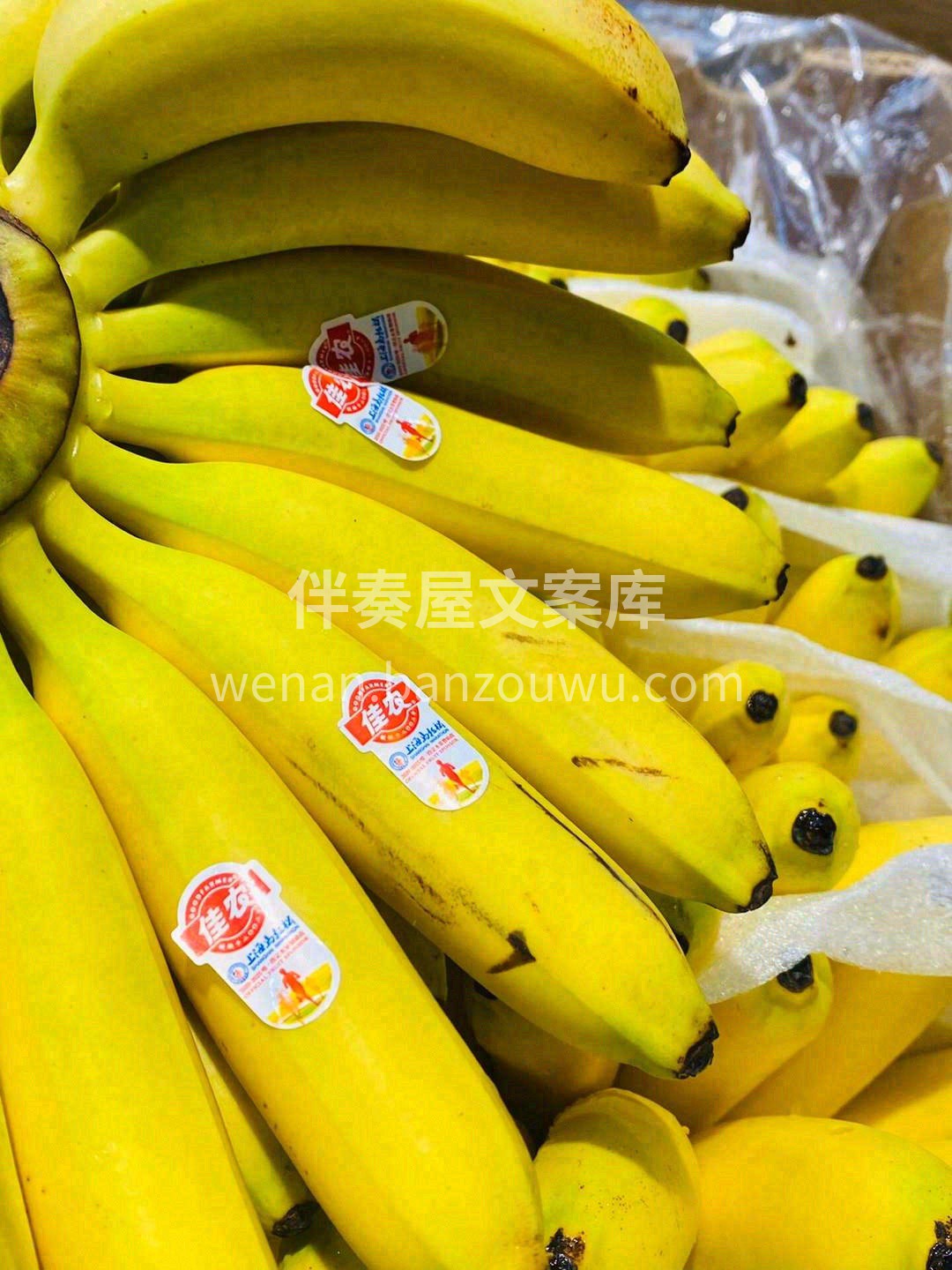 没有好东西怎会惊扰你📢 超级新鲜皇帝蕉🍌 配图3