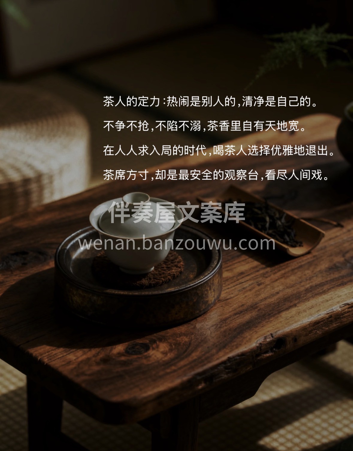 汲山泉水，采云雾茶。或绿或红，或乌龙白茶 配图2