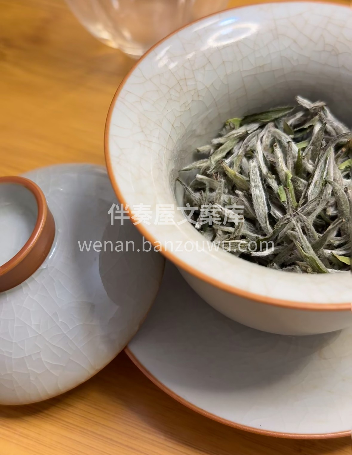 银毫满披似雪，干茶纤细如针。冲泡后叶底舒 配图2