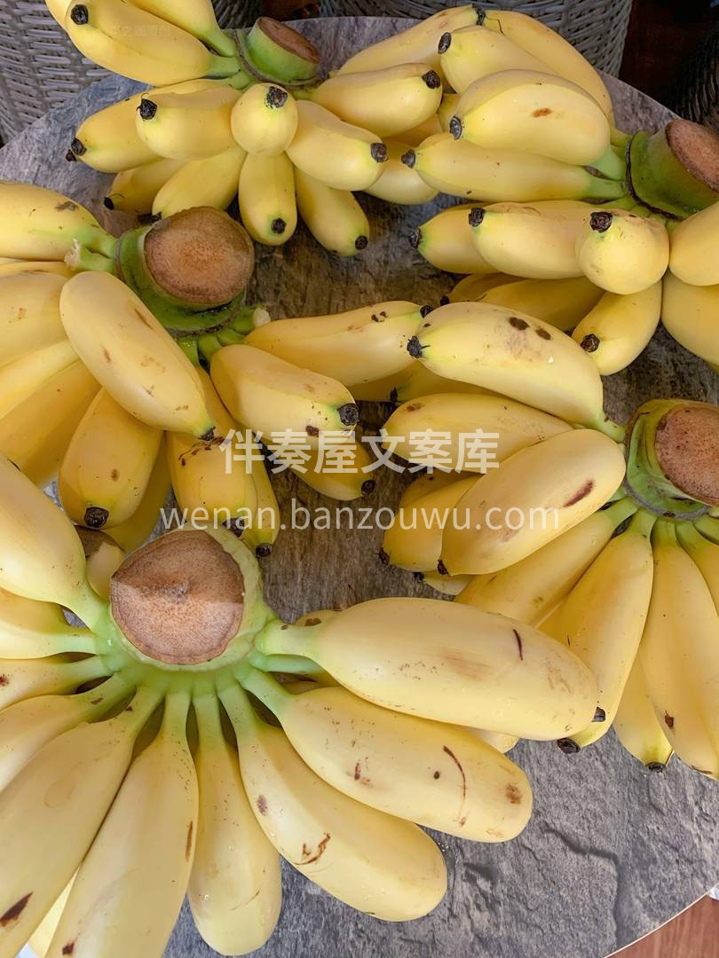 🍌香蕉届的“肉墩子”😂 “蕉”香四溢 个 配图1