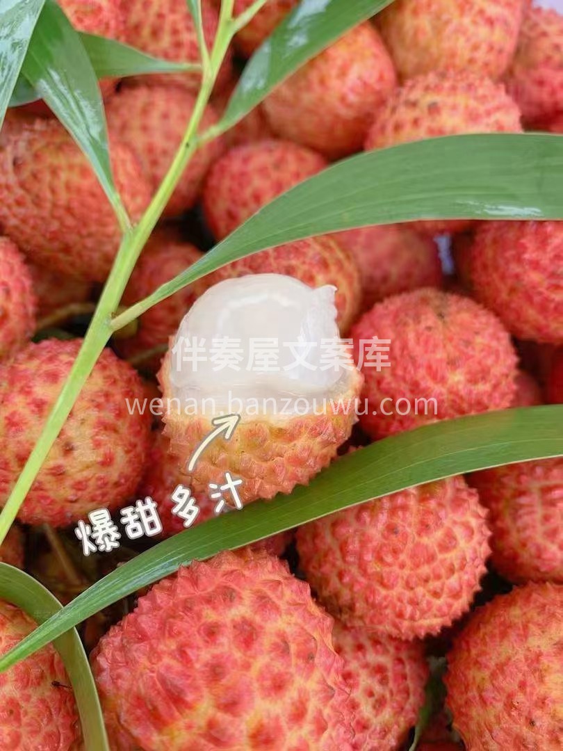 🍉水果摊主的日常：被顾客催更！ 👩🍳顾客 配图2
