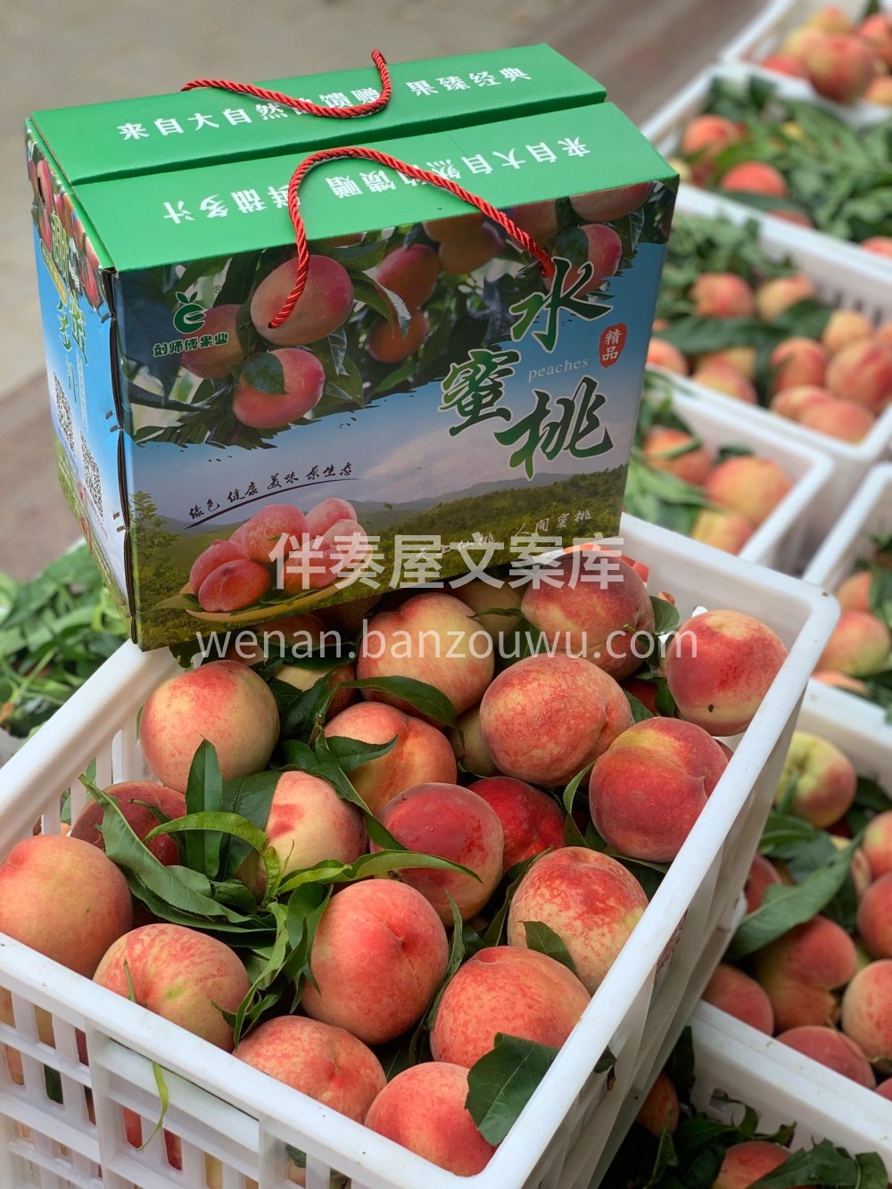 水蜜桃暴击！粉嘟嘟、软fufu～🤤 一口 配图2
