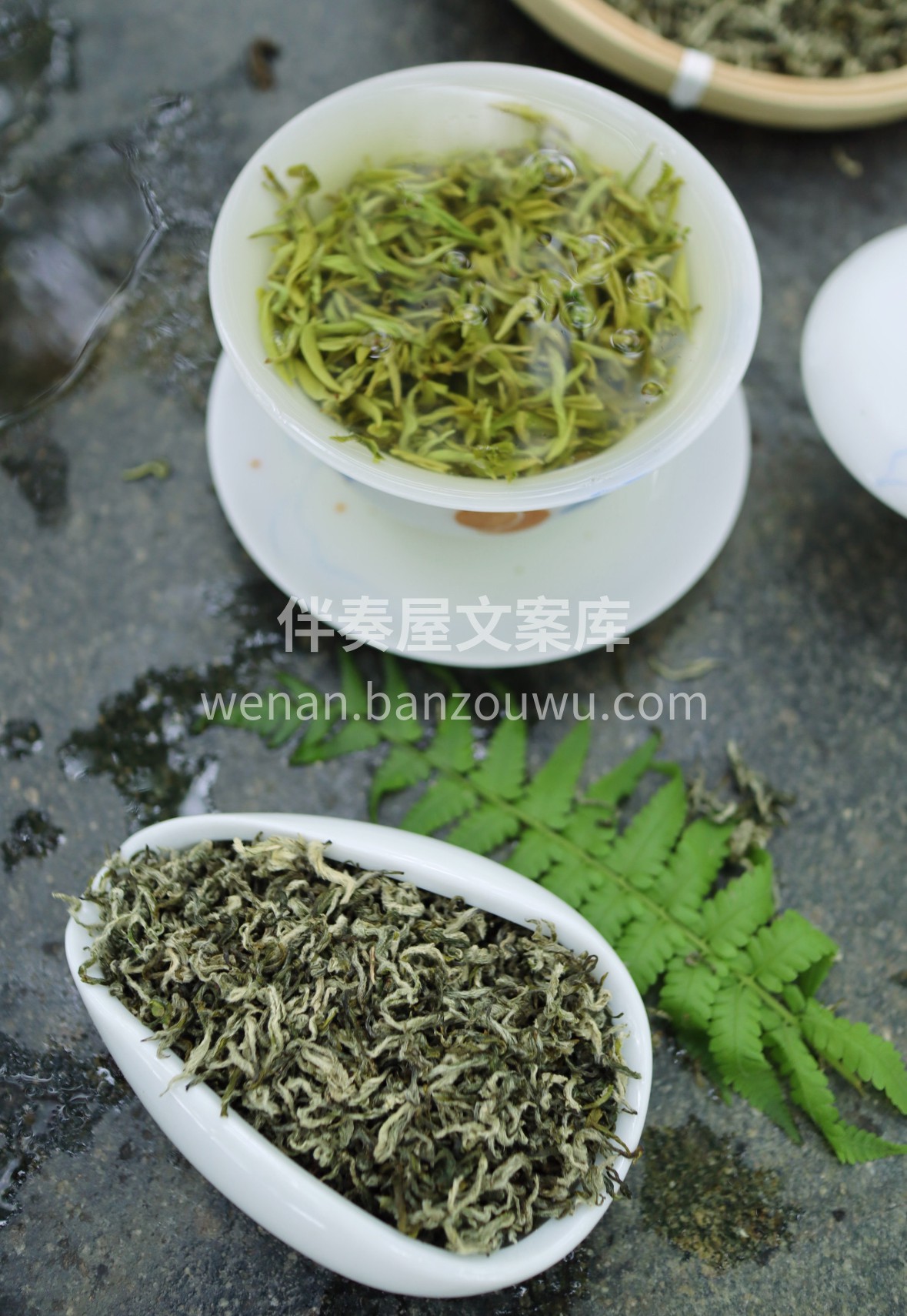 🌿 蒙顶甘露｜千年贡茶韵，鲜爽润心脾。明 配图2