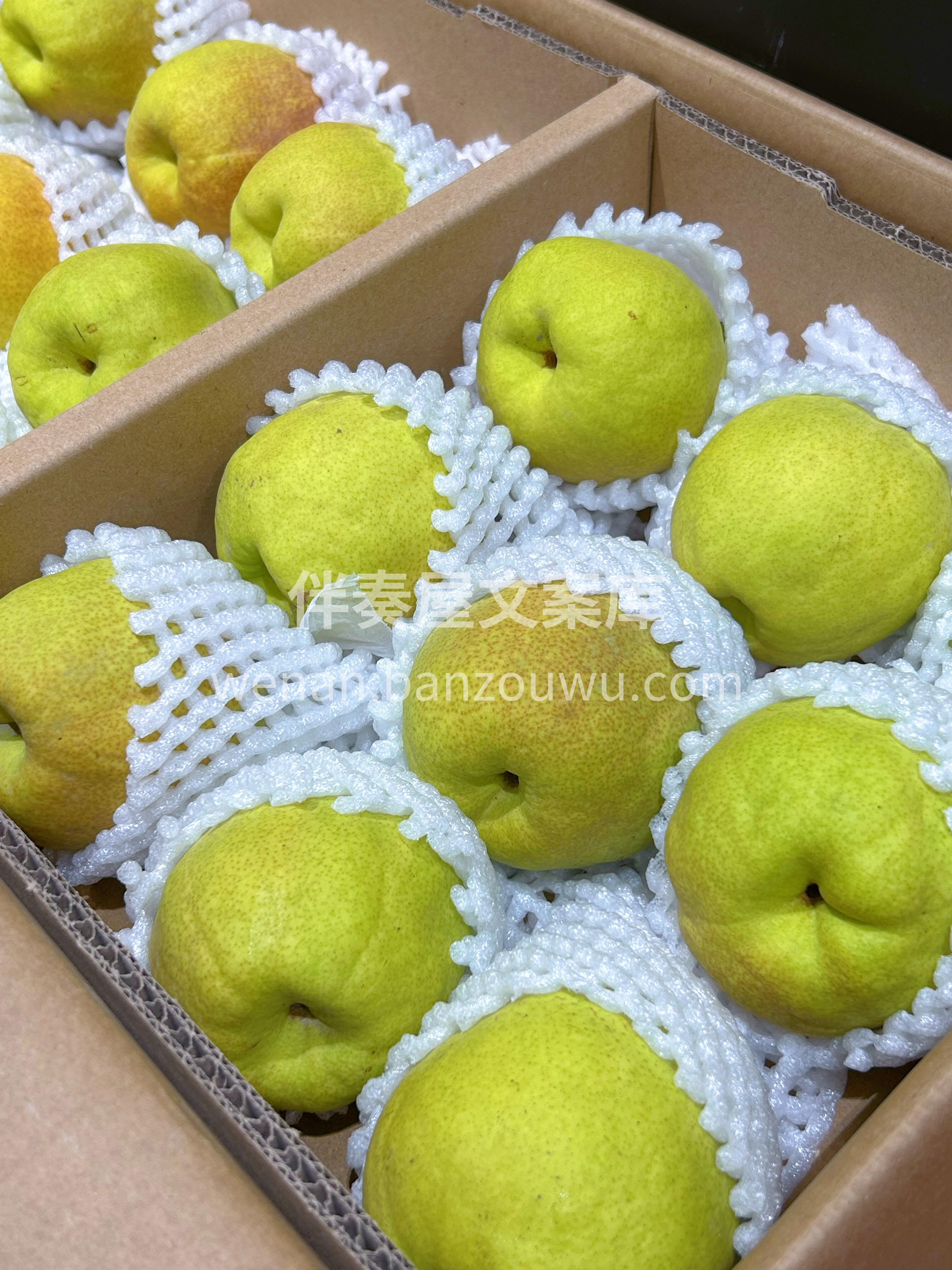 ❤️润肺必吃｜新疆库尔勒香梨🍐 一不注意 配图3