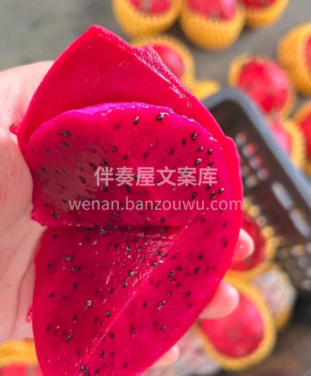 午间福利到❤️‍🔥📣 来个红心火龙果清清 配图2
