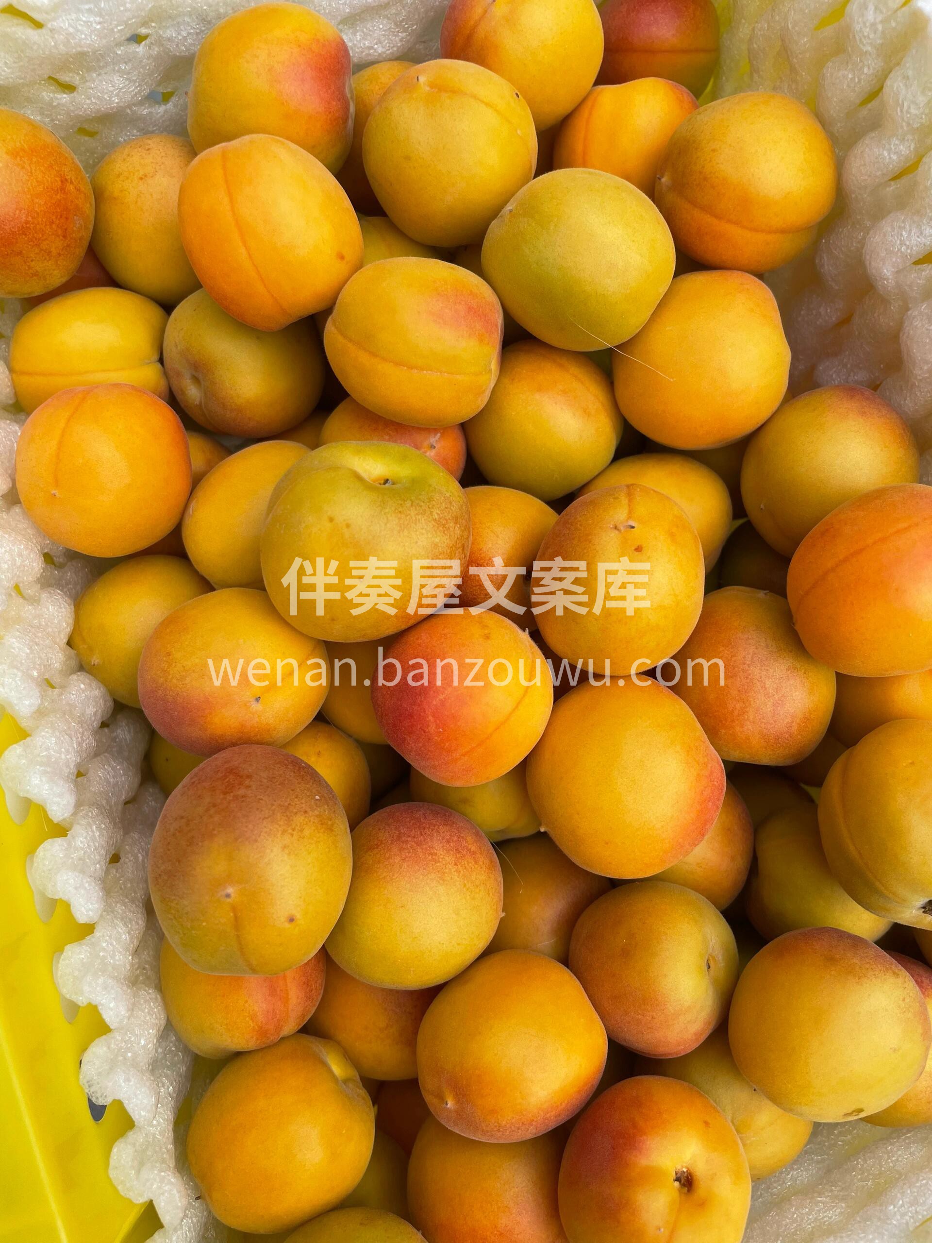 👉当季最受宠的杏—新疆吊干杏！ 颜色很漂 配图3