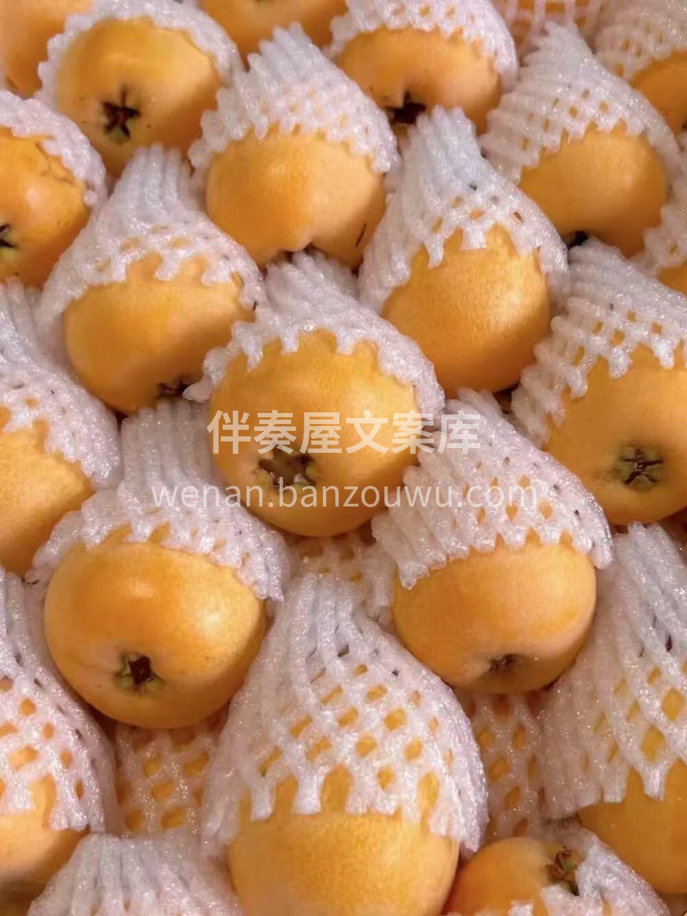 润肺小炸弹💣🔥果子超大，好甜🍯😋爽口不腻 配图3