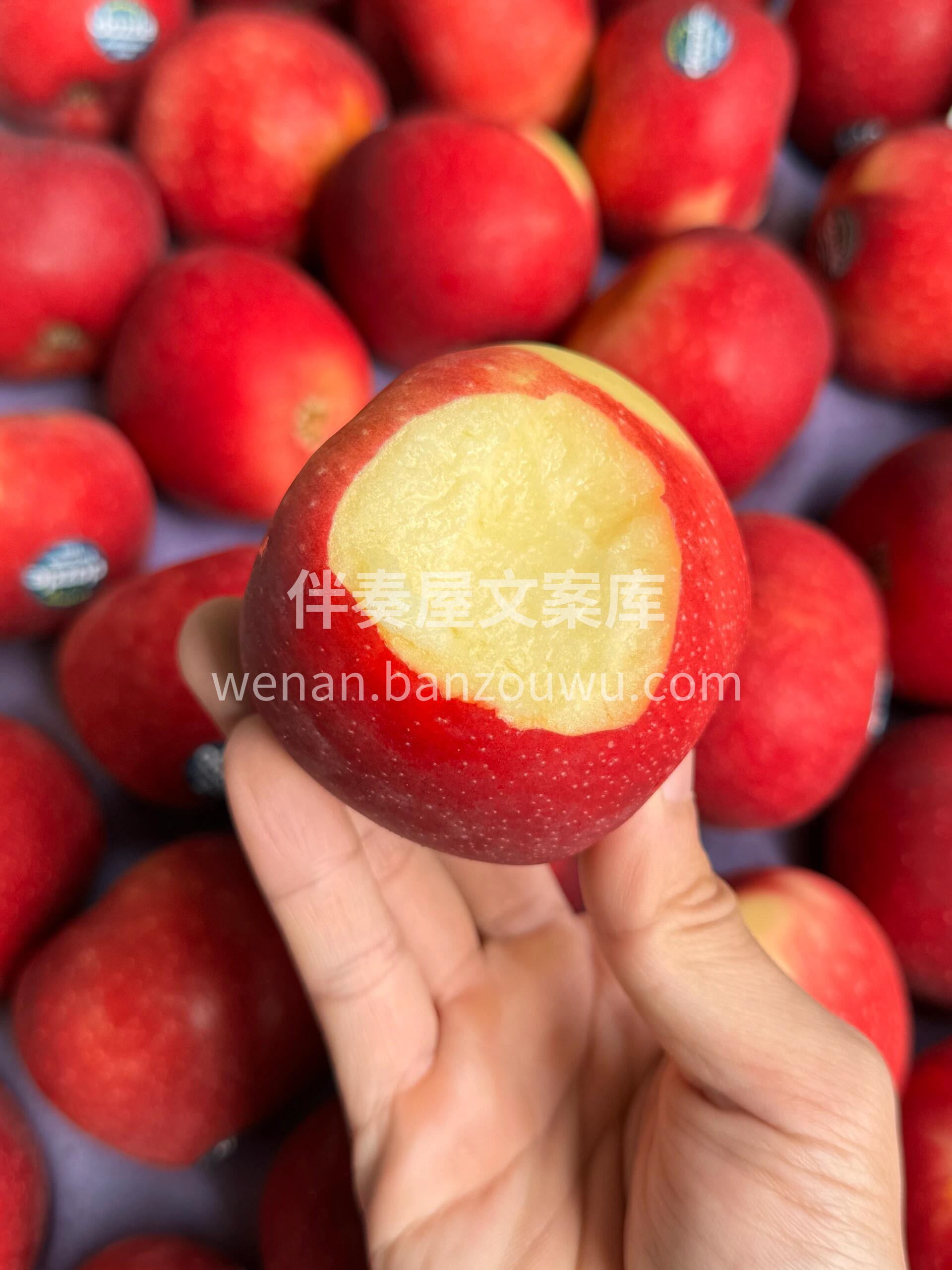新西兰🇳🇿红玫瑰苹果🍎应季的新鲜||新西 配图3