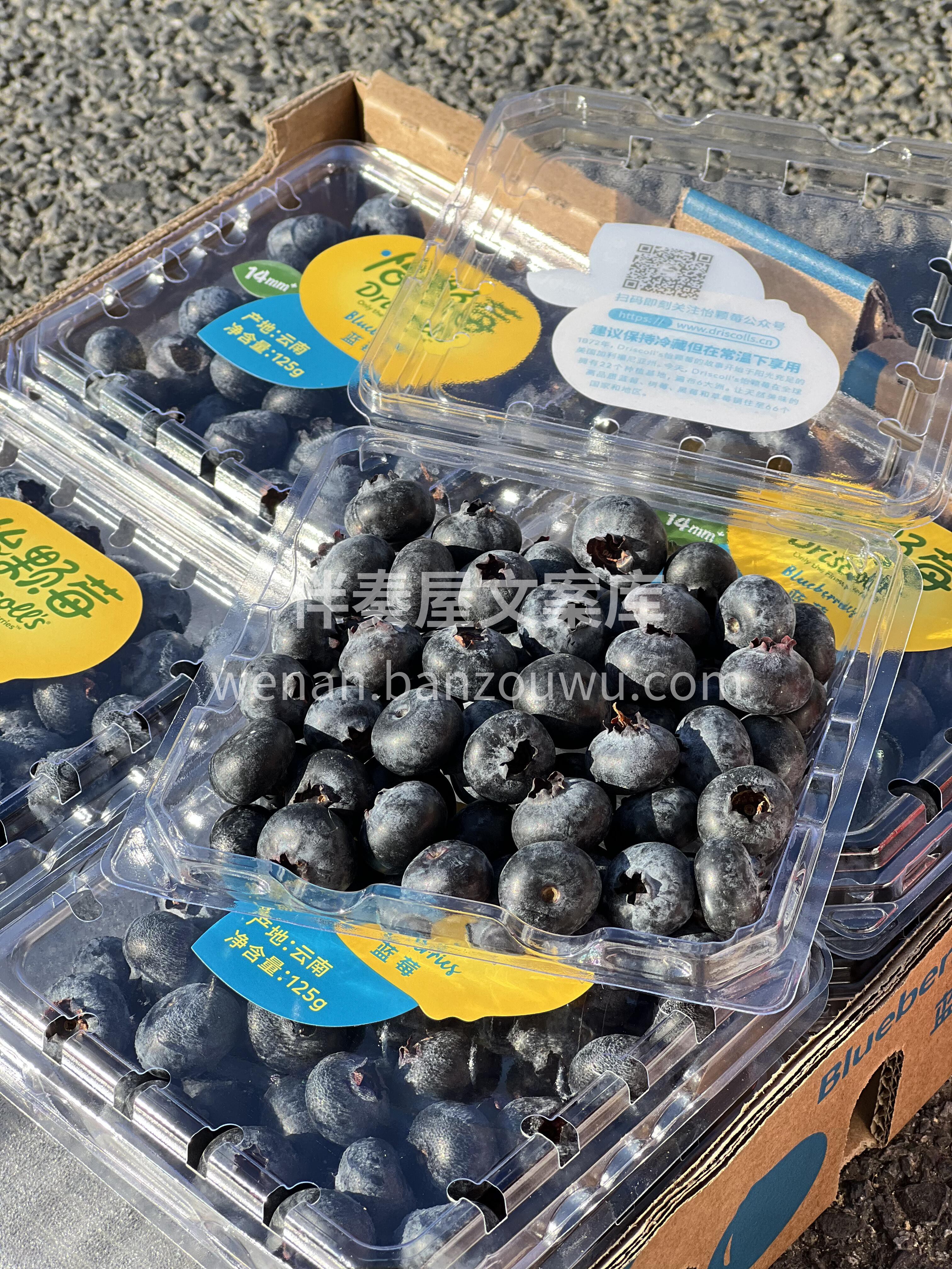 💙怡颗莓蓝莓 新鲜大粒蓝莓🫐，看得见的天 配图2