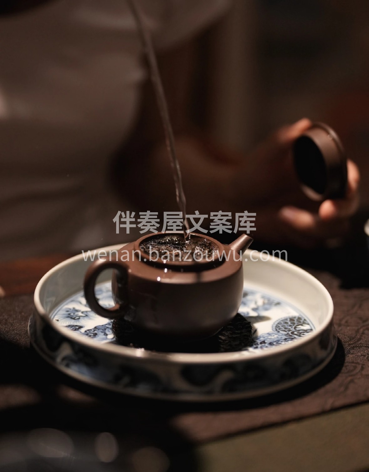 梧州六堡新茶到店！干茶褐润显金毫，煮泡后 配图2