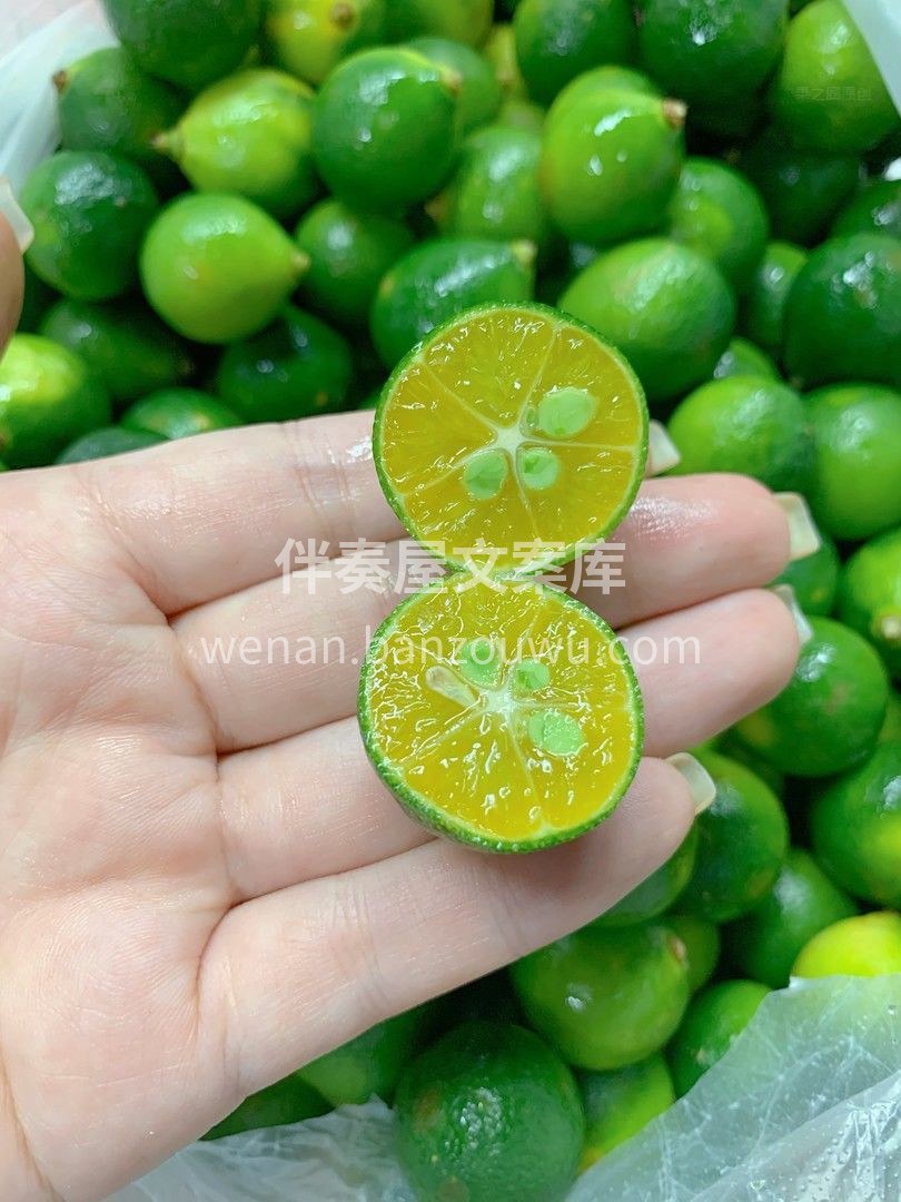 🎉新品上市💕 老树小青柑🍊，长得像青柠， 配图1