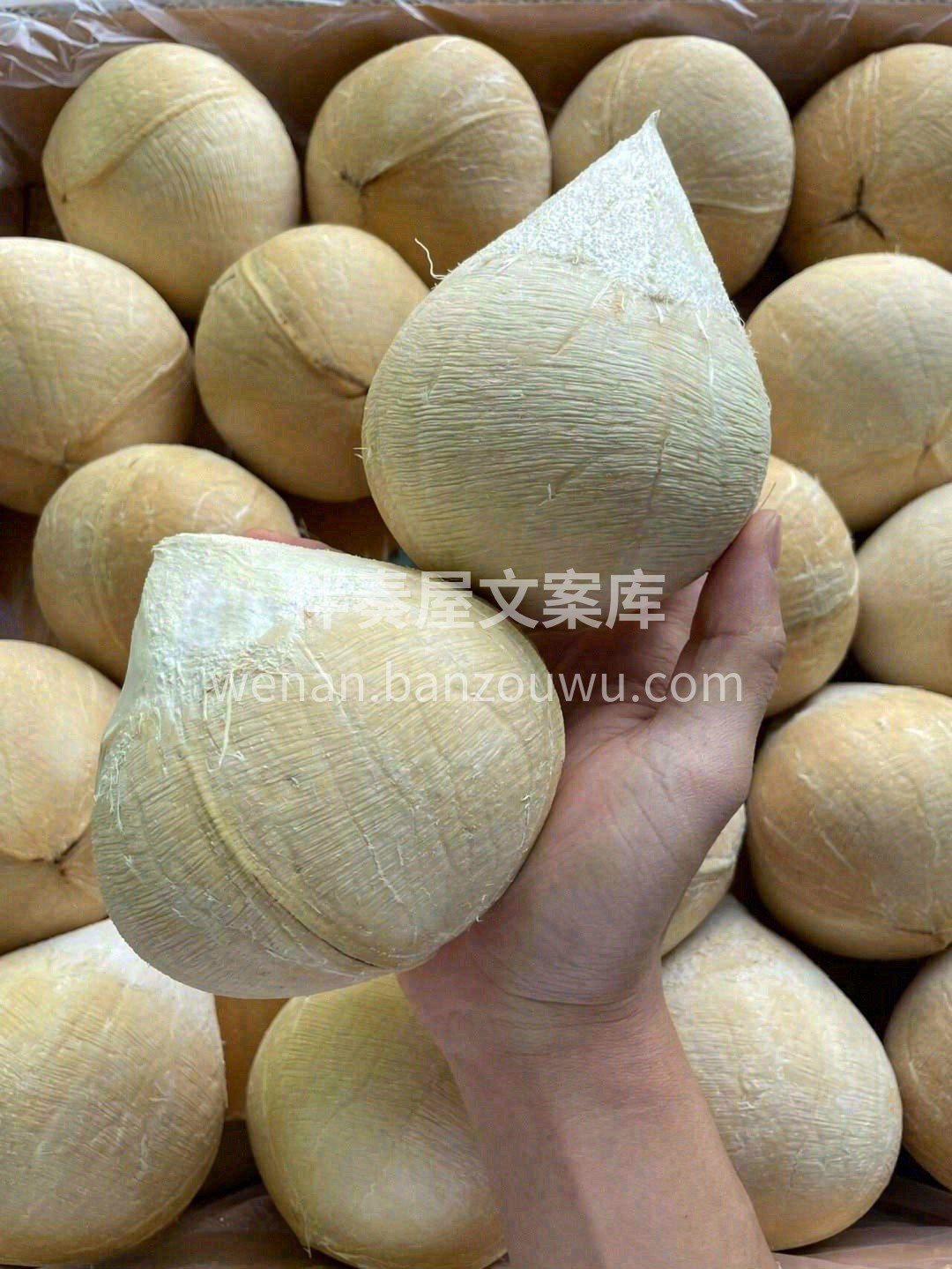 最纯净的"水"，居然带奶香味 ?脆脆嫩嫩 配图1