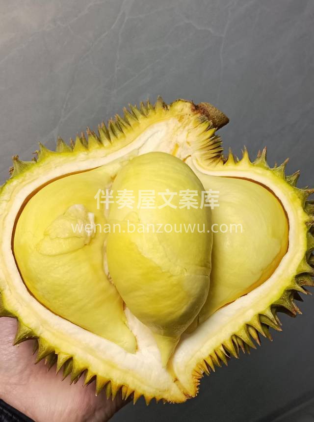 巴掌榴莲真的很赞👍 今天忍不住又吃了一个 配图3