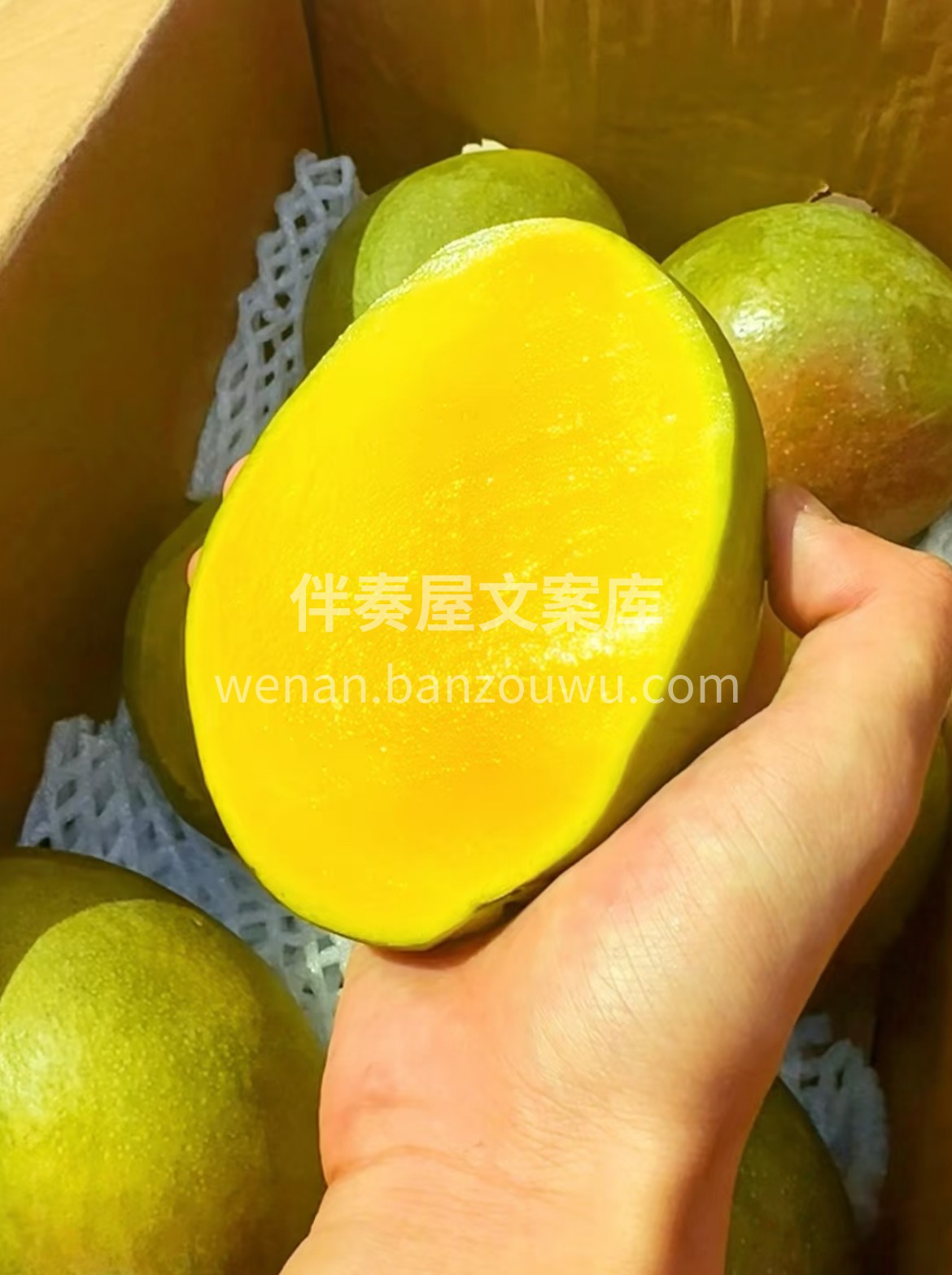 苹果芒🥭，新鲜上新✨ 苹果芒富含的膳食纤 配图3