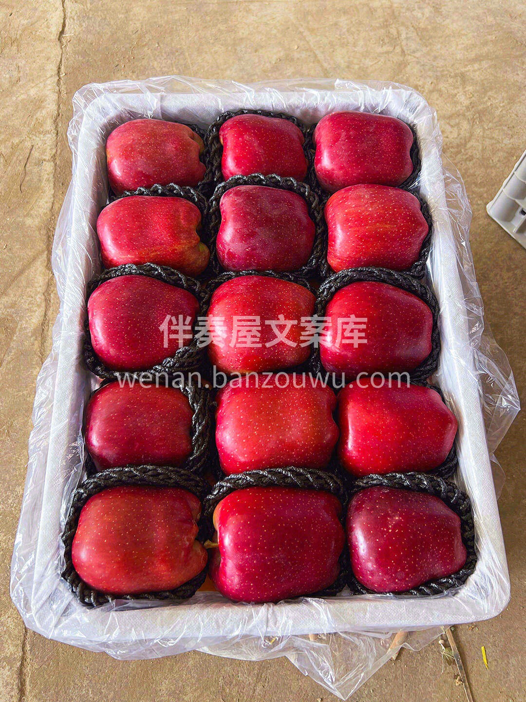 浓郁的火红色❤️，醇正的苹果香🍎 视觉和 配图2