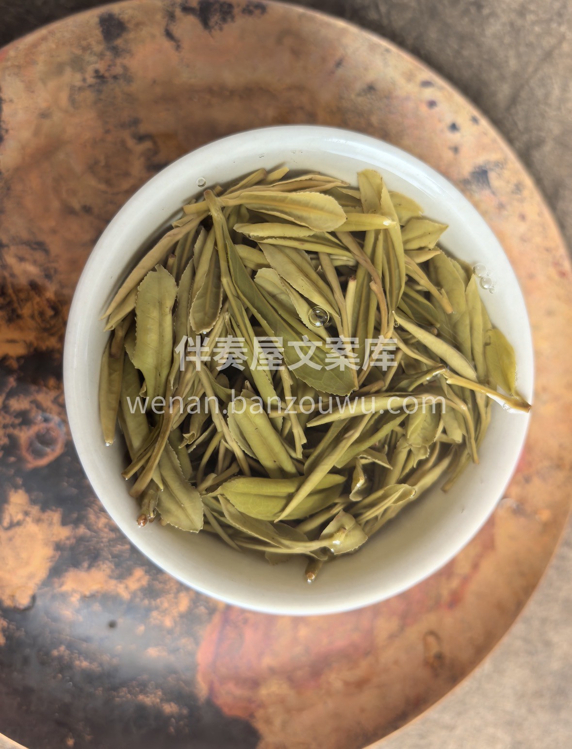 春风入盏，新茶上市。 蒙顶黄小茶，头春采 配图2